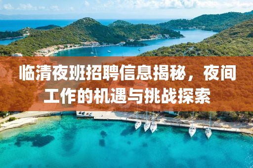 临清夜班招聘信息揭秘，夜间工作的机遇与挑战探索