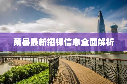 萧县最新招标信息全面解析
