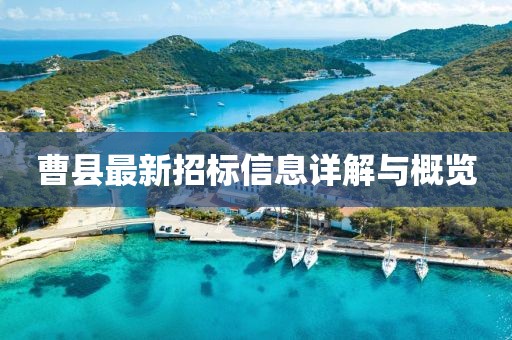 曹县最新招标信息详解与概览