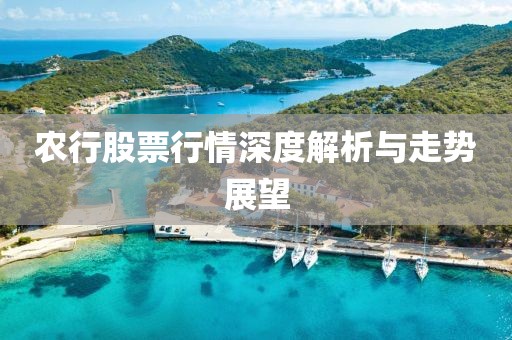 农行股票行情深度解析与走势展望