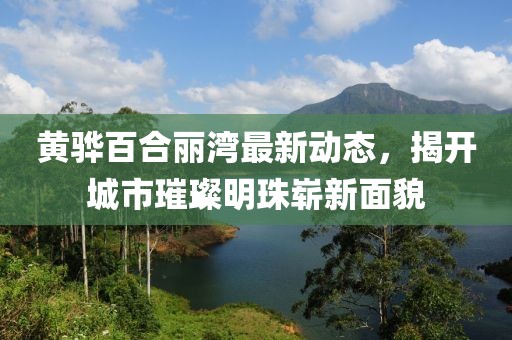黄骅百合丽湾最新动态，揭开城市璀璨明珠崭新面貌