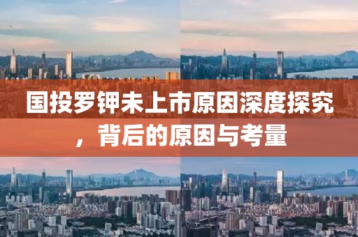 国投罗钾未上市原因深度探究，背后的原因与考量