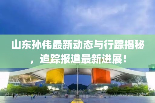 山东孙伟最新动态与行踪揭秘，追踪报道最新进展！