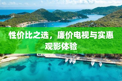性价比之选，廉价电视与实惠观影体验