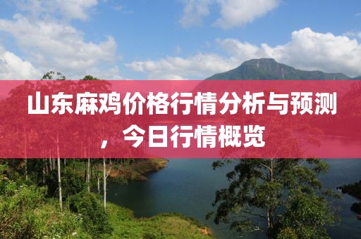 山东麻鸡价格行情分析与预测，今日行情概览