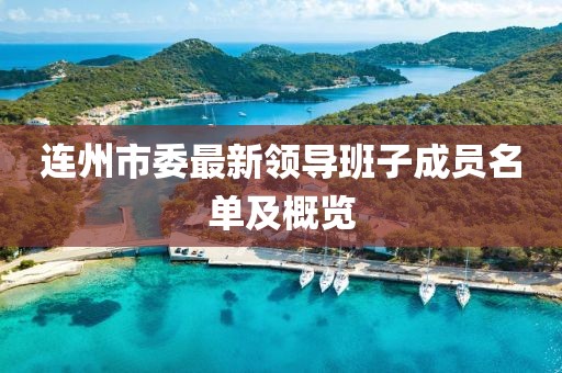 连州市委最新领导班子成员名单及概览