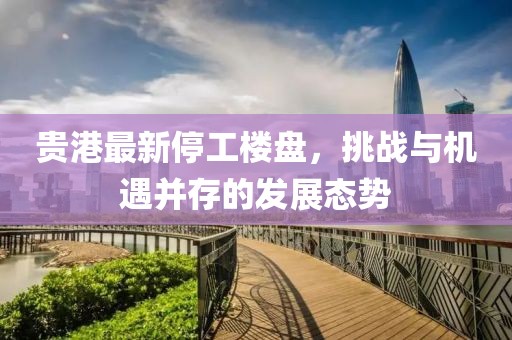 贵港最新停工楼盘，挑战与机遇并存的发展态势