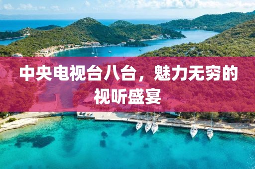 中央电视台八台，魅力无穷的视听盛宴