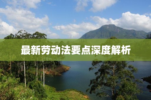 最新劳动法要点深度解析
