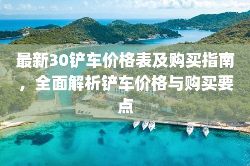 最新30铲车价格表及购买指南，全面解析铲车价格与购买要点