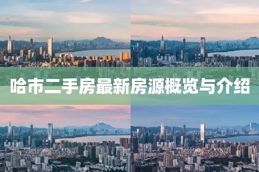 哈市二手房最新房源概览与介绍