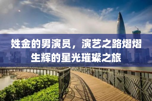 姓金的男演员，演艺之路熠熠生辉的星光璀璨之旅