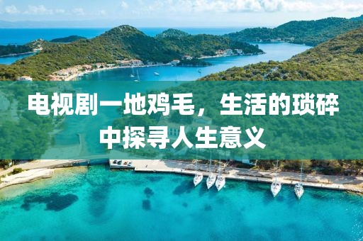 电视剧一地鸡毛，生活的琐碎中探寻人生意义