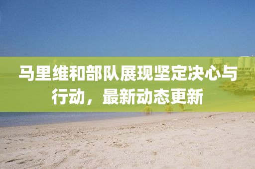 马里维和部队展现坚定决心与行动，最新动态更新