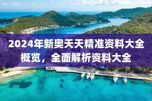 2024年新奥天天精准资料大全概览，全面解析资料大全