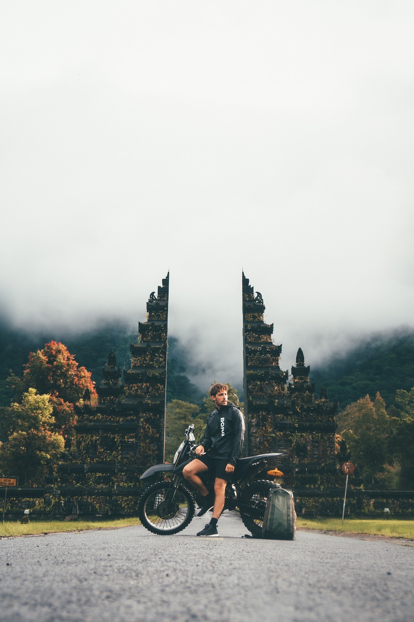 电影落叶归根，人生旅途中的归宿与情感深度探索