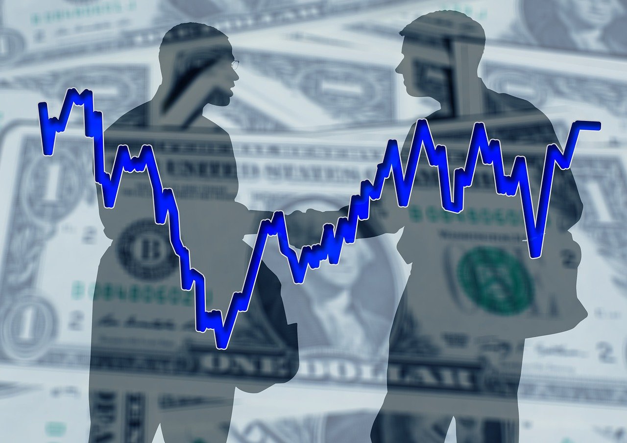白菜批发最新价格行情分析与趋势预测