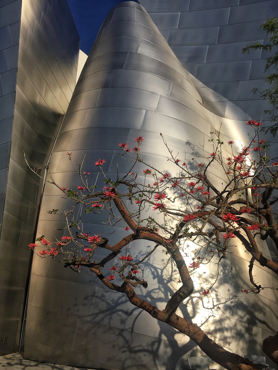 李钟硕最新动态，影视巨星的新进展与未来展望