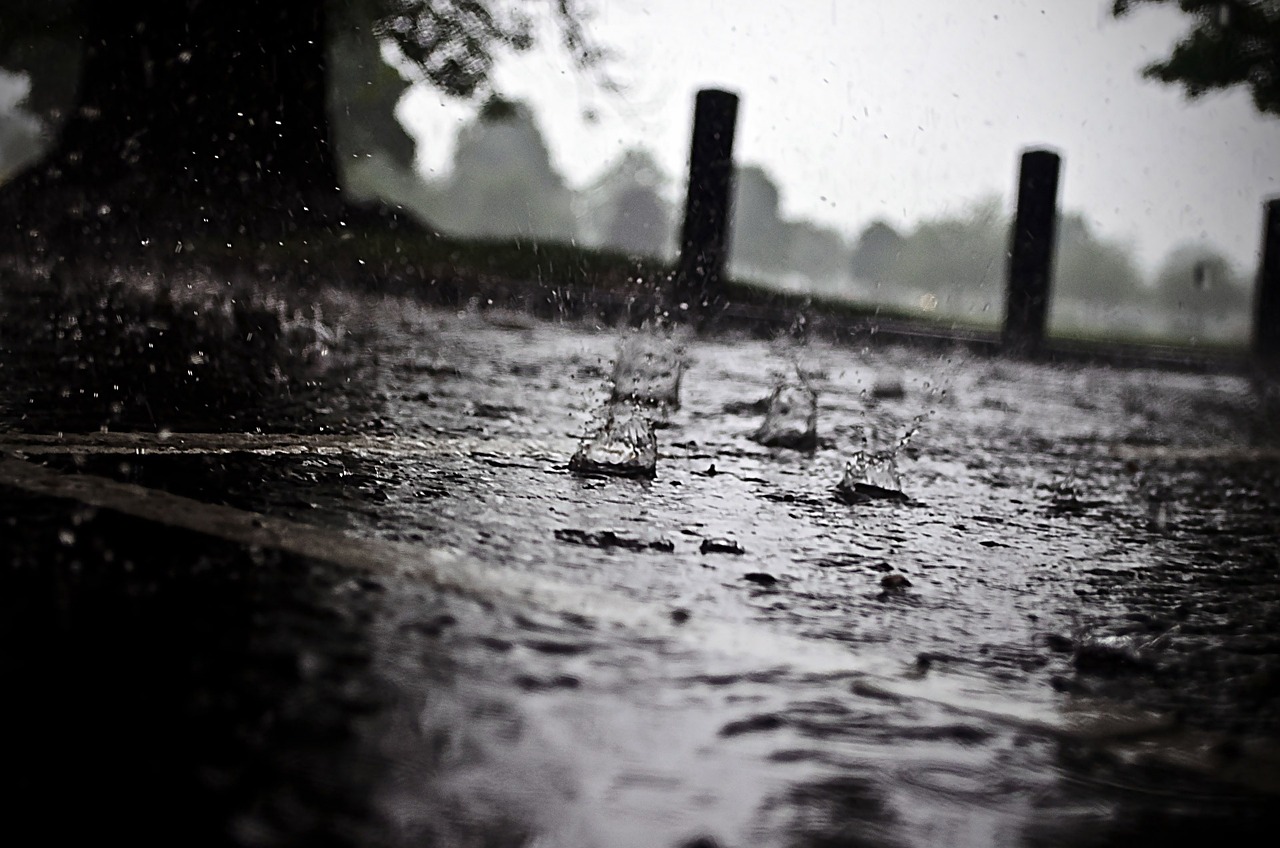 辽宁暴雨来袭，实时关注降雨情况，共抗天灾保民生