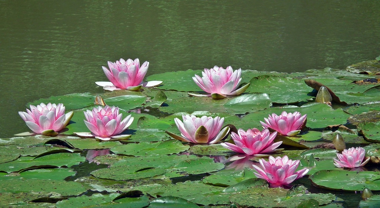 雨景之美，魅力与感受的交织体验