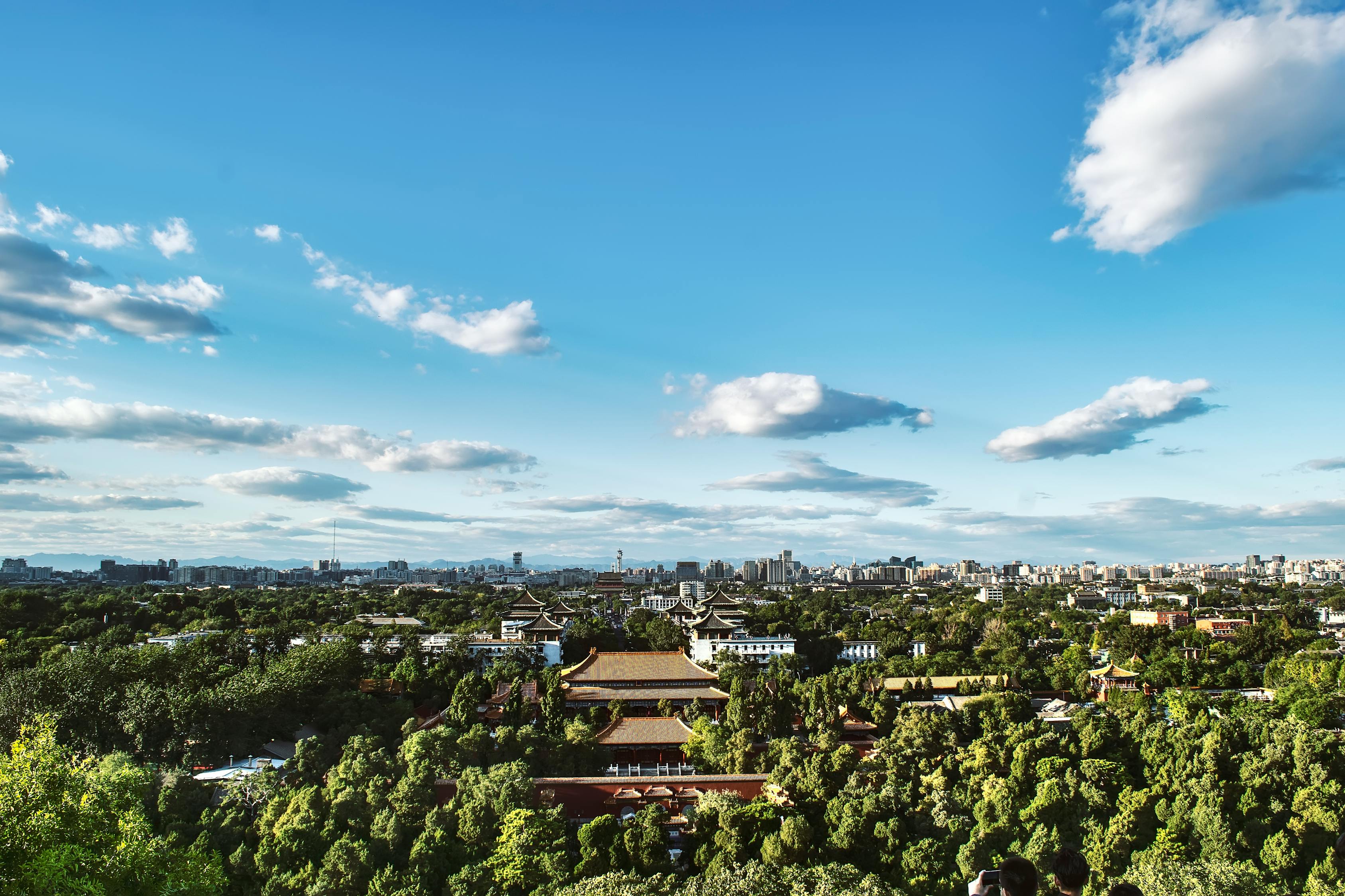 邯郸王社群最新动态，城市发展与社群脉搏同步前行